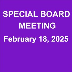 D75_Special_Board_Meeting_021825